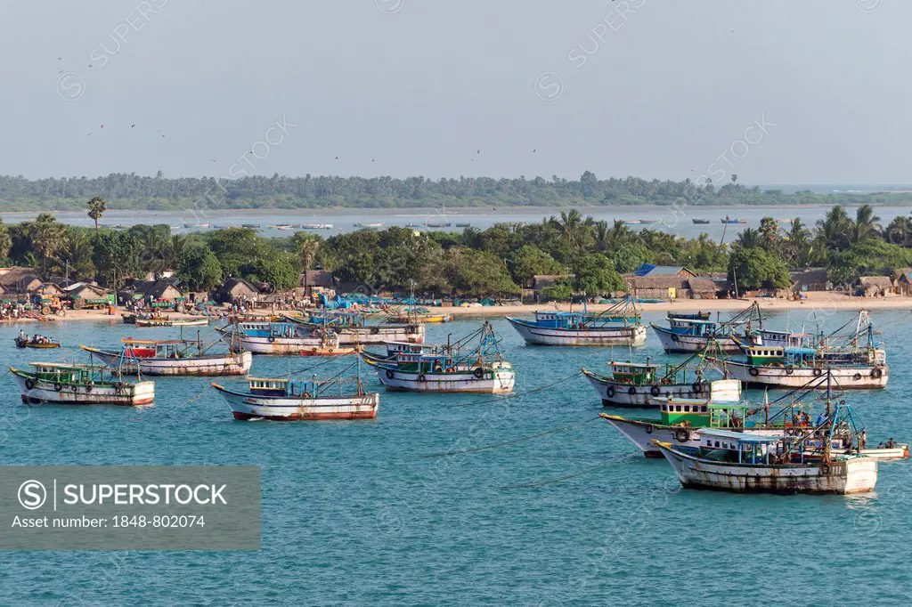 Fishing boats and fishermen's huts on the coast, Rameswaram, Pamban Island, Tamil Nadu, India