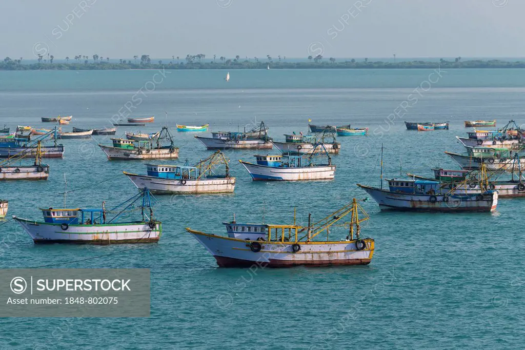 Fishing boats, Rameswaram, Pamban Island, Tamil Nadu, India