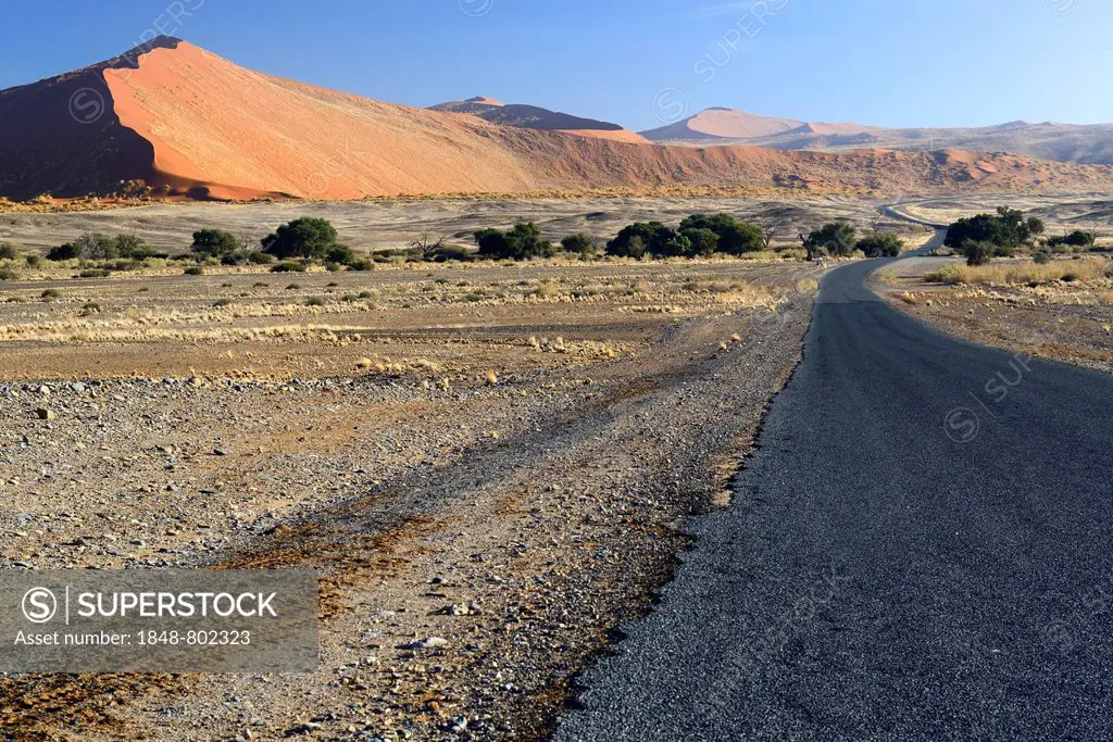 Road through the Sossusvlei salt pan, Sossusvlei, Namib Desert, Namib Naukluft Park, Namibia
