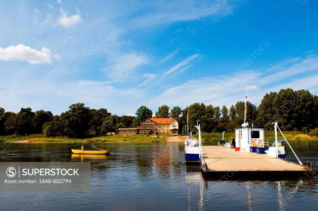 Ferry on the river Elbe between Coswig and Woerlitz, Saxony-Anhalt, Germany