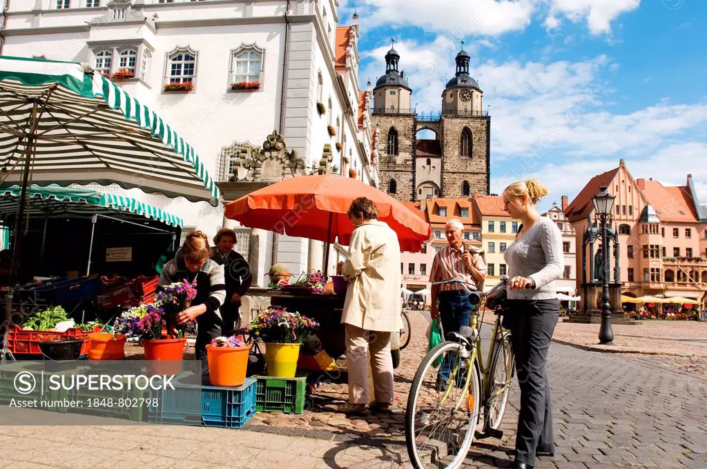Farmer market on the town hall market in Wittenberg, Saxonia-Anhalt, Germany
