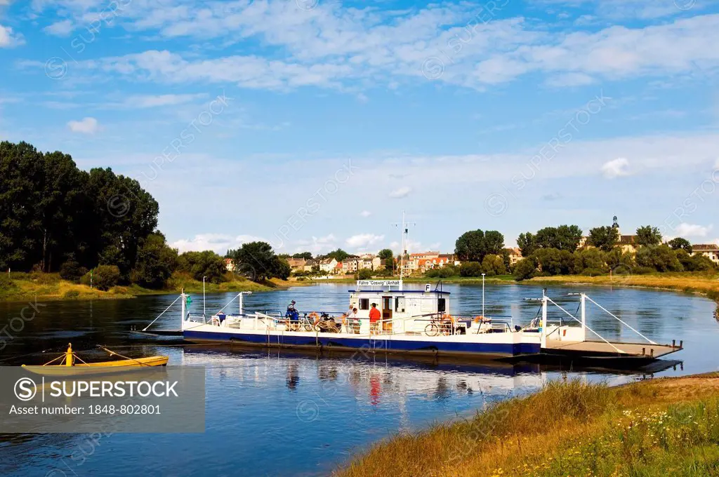 Ferry on the river Elbe between Coswig and Woerlitz, Saxony-Anhalt, Germany