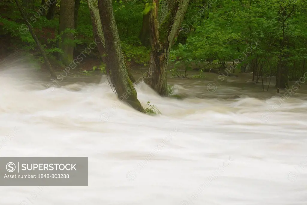 Waterfall on the Selke River during a flood, torrential floods