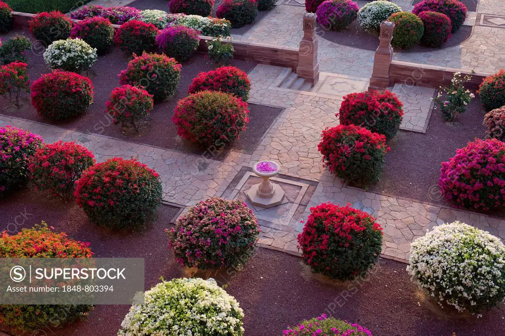Gardens with colourful bougainvillea bushes, Palace Hotel, Umaid Bhawan Palace