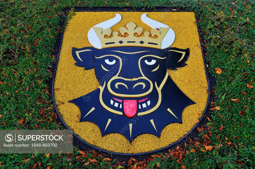 Coat of arms of Rehna, bull with its tongue sticking out, Freiheitsplatz square, Rehna, Mecklenburg-Western Pomerania, Germany, Europe