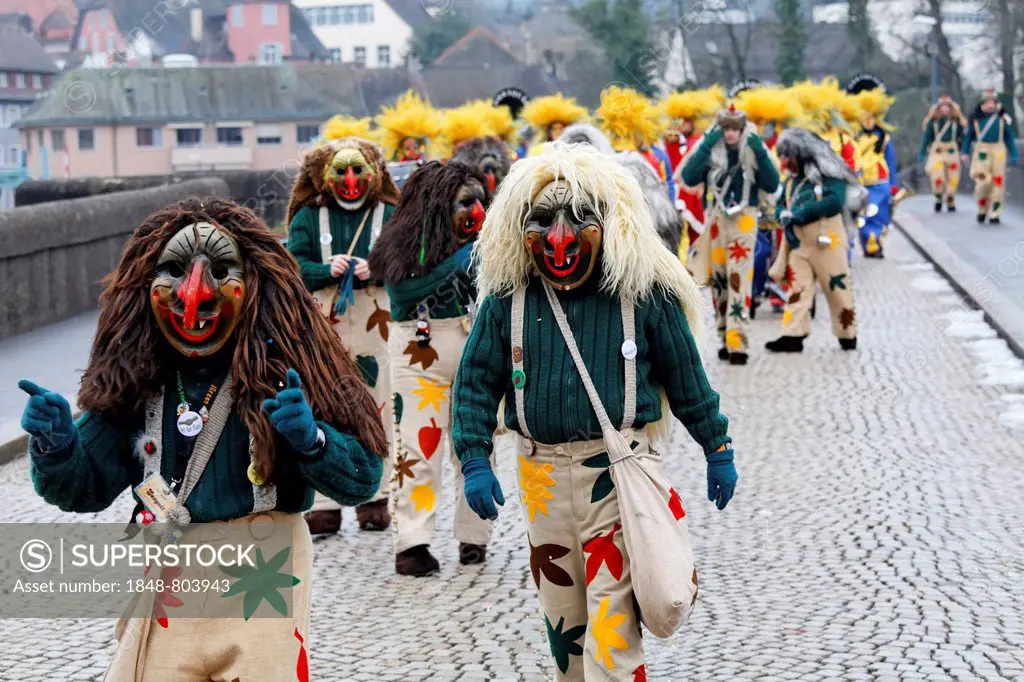 Carnival, carnival procession organised by the two local carnival associations, Rheinfelden-AG and Rheinfelden-Baden, Dinkelberg-Schrate, Rheinfelden ...