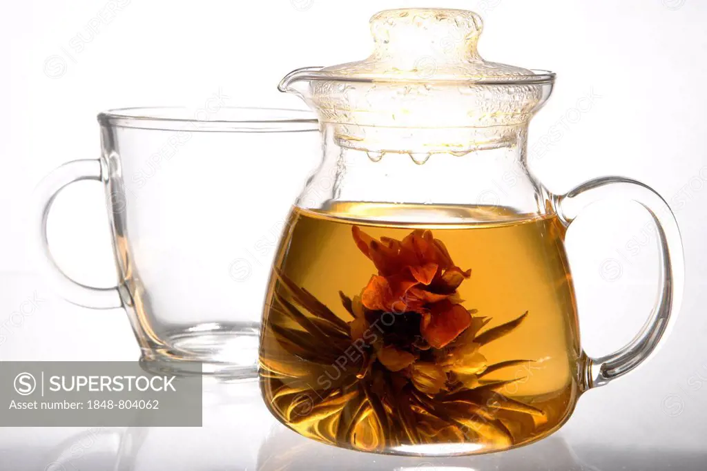 Magic Cherry, blooming tea, a dried flower unfolding in hot water