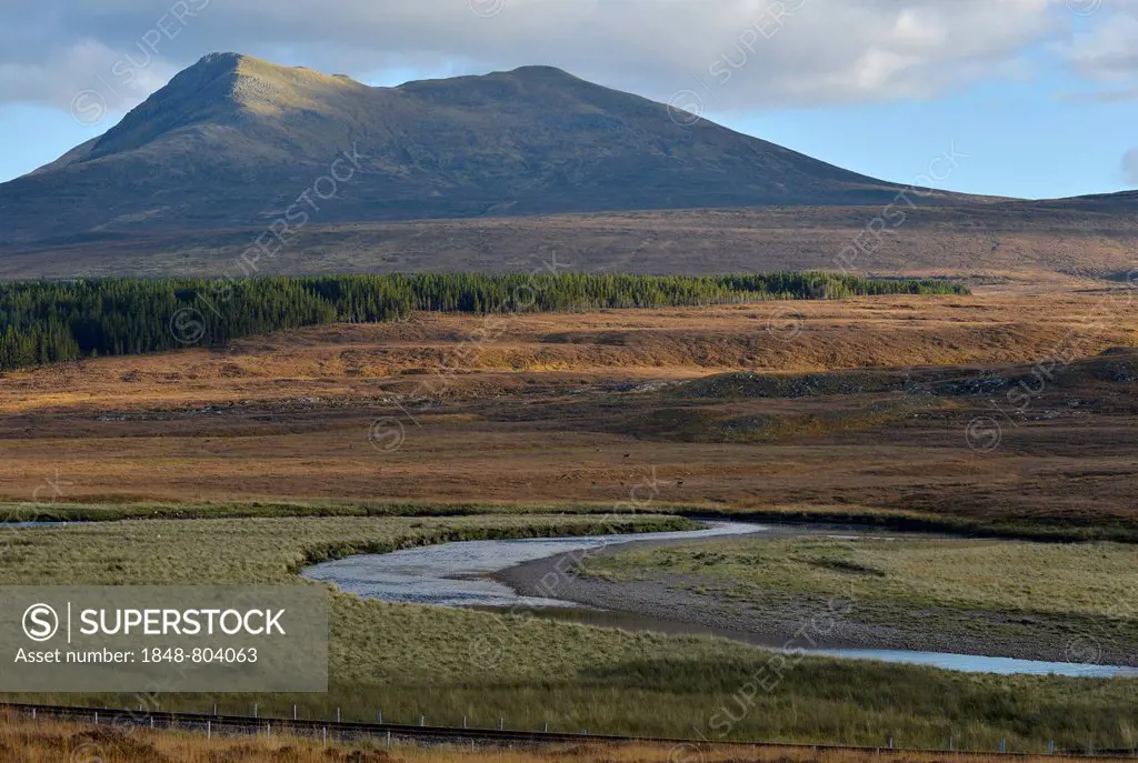 Autumnal Scottish Highlands with Munro, Garve, River Bran, Scotland, United Kingdom, Europe