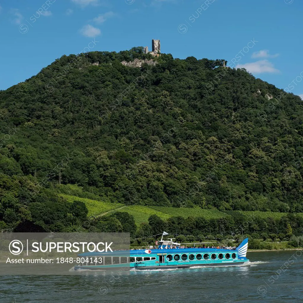 View over the Rhine on Mt. Drachenfels with and Burg Drachenfels castle ruins, MOBY DICK passenger boat on the Rhine, Königswinter, Siebengebirge, Nor...