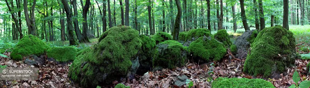 Panorama, boulders overgrown with moss, Greifenstein, Lahn-Dill-Kreis district, Hesse, Germany, Europe