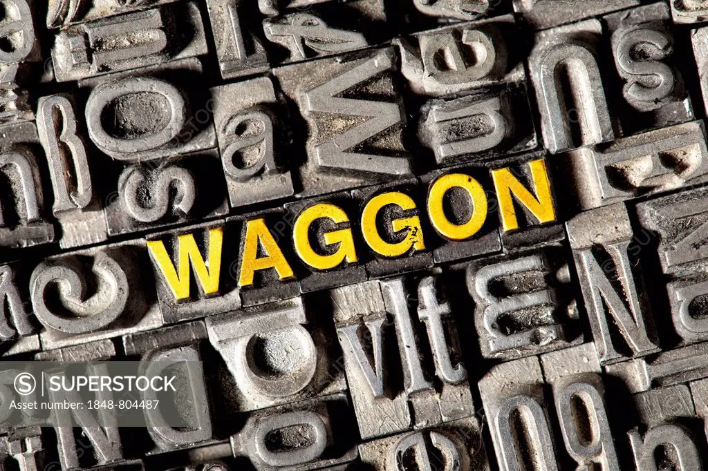 Old lead letters forming the word Waggon