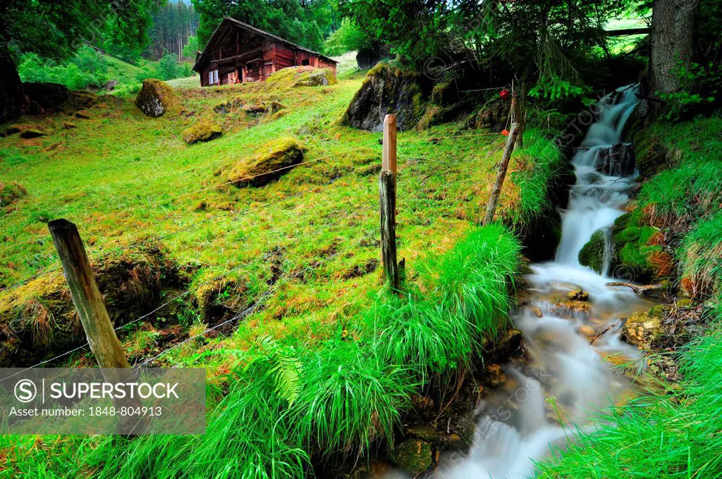 Meadow with a creek, near Grindelwald, Canton of Bern, Switzerland