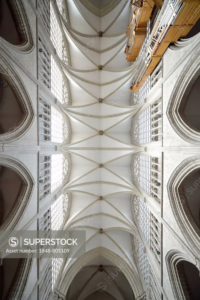 Interior, ceiling of the Cathédrale St Michel et Gudule, Cathedral of St. Michael and St. Gudula, Brussels, Brussels Region, Belgium