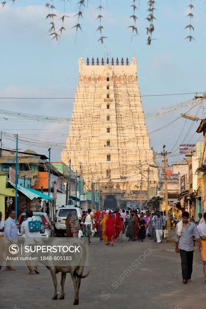 Street scene with pilgrims in front of the Gopuram or gateway tower, Ramanathaswami Temple, Rameswaram, Pamban Island, Tamil Nadu, India