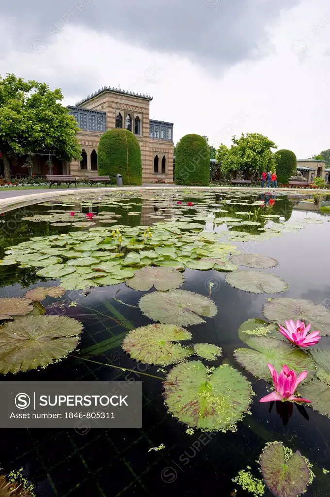 Water lily pond, Wilhelma Zoo and Botanical Garden, Stuttgart, Baden-Württemberg, Germany