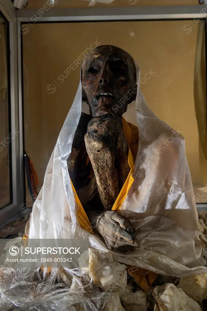 Mummy of a monk from 15th century in a glas container at a temple, Giu village, Himachal Pradesh, India