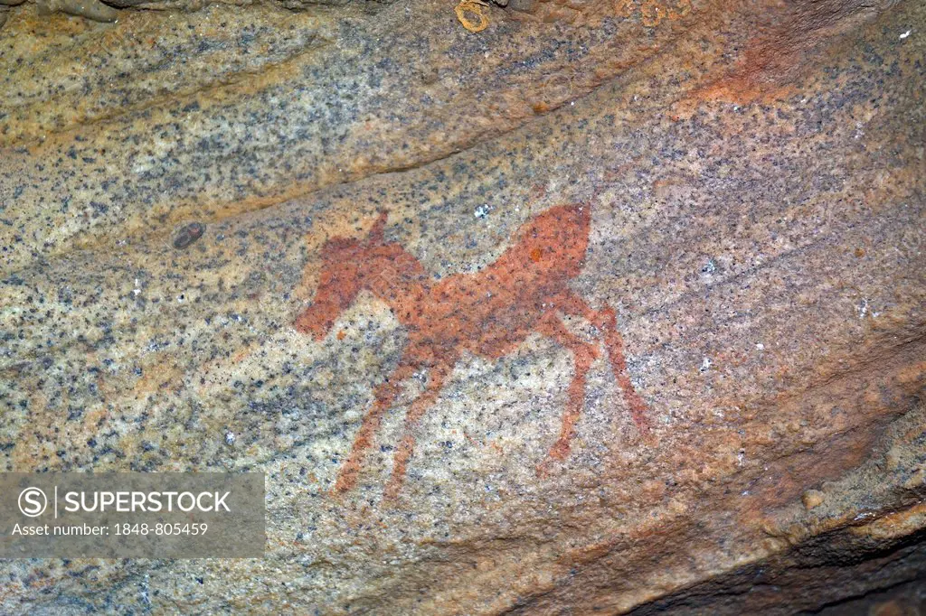 Ancient rock art, drawings of the San people, indigenous people of South Africa, Sevilla Rock Art Trail, Cederberg mountains, Clanwilliam, Western Cap...