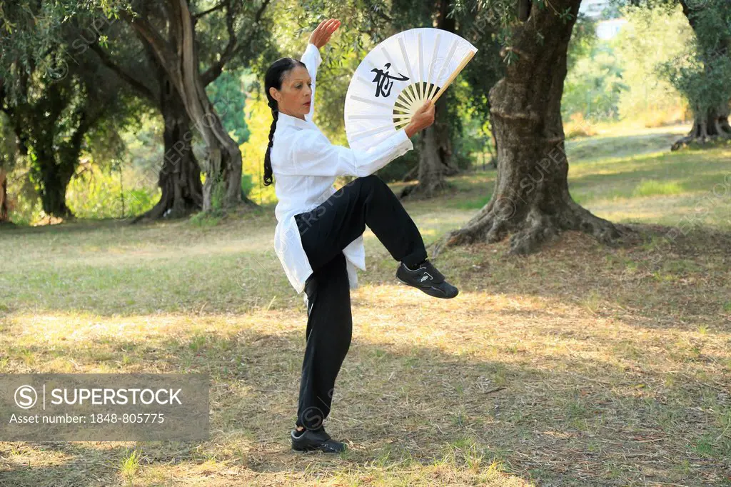Tai Chi performed with a fan, demonstration in an olive grove, Régine Zanini, two-time silver medalist of the Tai Chi European Championships 2012, Men...