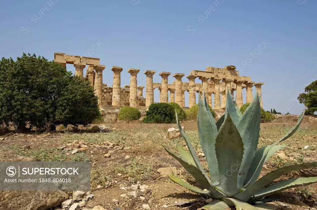 Temple E, Temple of Hera, Selinunt, Trabant, Sizilien, Italy