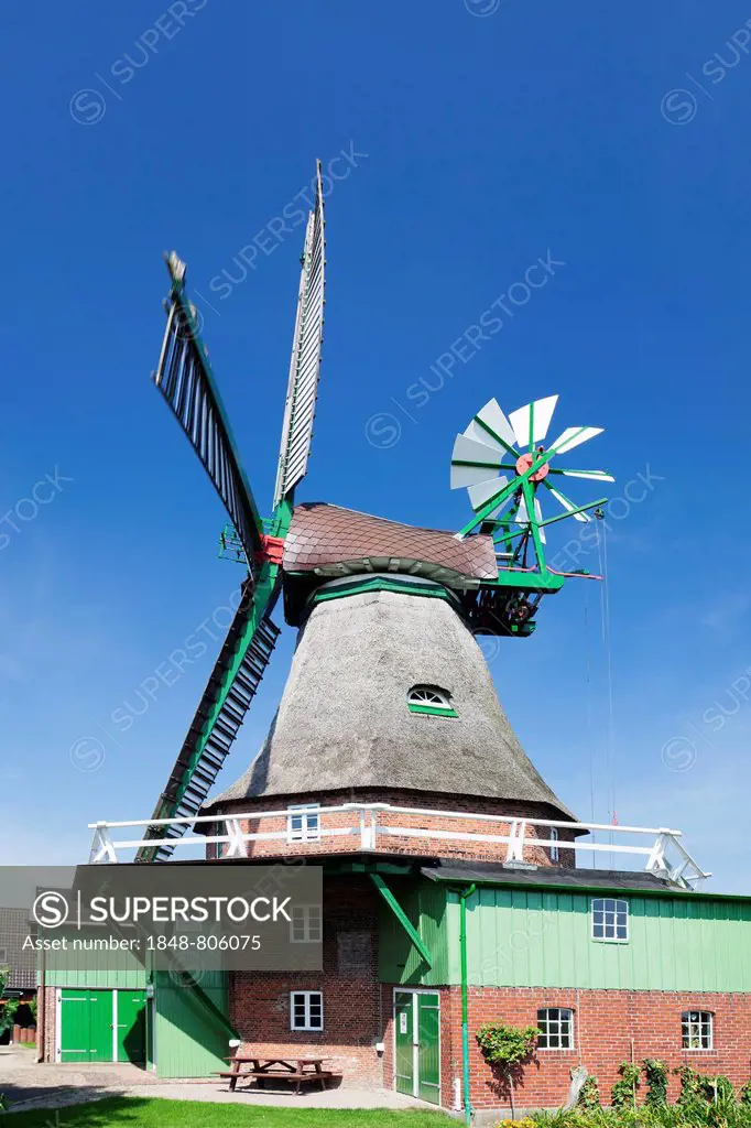 Gott mit uns Windmill, German for God with us, Dutch gallery windmill, smock windmill, with a wind rose, Eddelak, Schleswig-Holstein, Germany