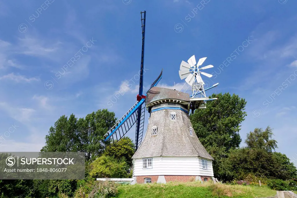 Immanuel Windmill, typical Dutch-style smock windmill, Kronprinzenkoog, Schleswig-Holstein, Germany