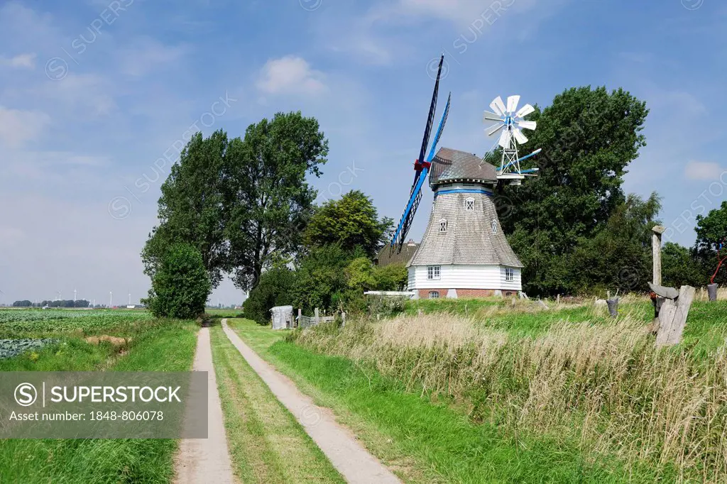 Immanuel Windmill, typical Dutch-style smock windmill, Kronprinzenkoog, Schleswig-Holstein, Germany