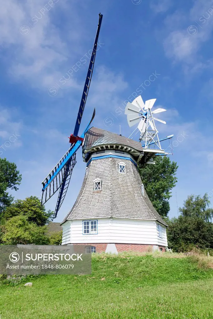 Immanuel Windmill, typical Dutch-style smock windmill, Kronprinzenkoog, Schleswig-Holstein, Germany