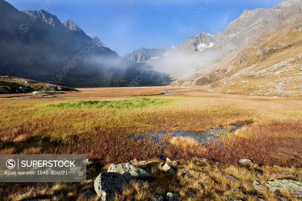 Raised mire of Hohes Moos in the morning light, Stubai Valley, Stubai Alps, Tyrol, Austria