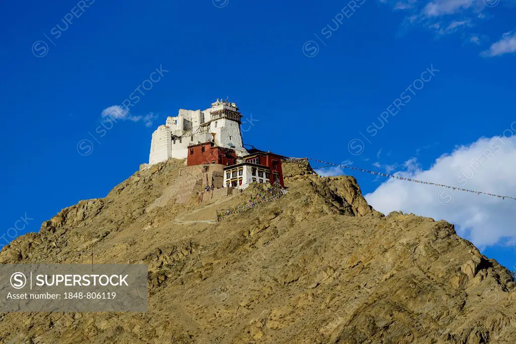 Namgyal Tsemo Gompa, built on a hill above Leh, Leh, Ladakh, Jammu and Kashmir, India