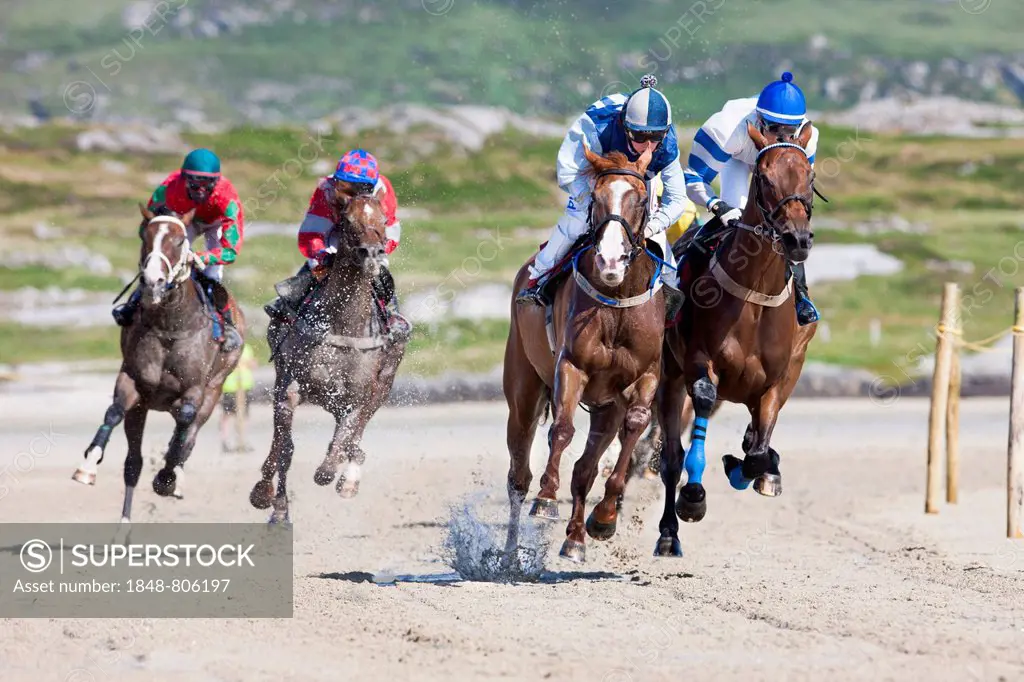 Horse racing, Omey Island, Connemara, County Galway, Ireland