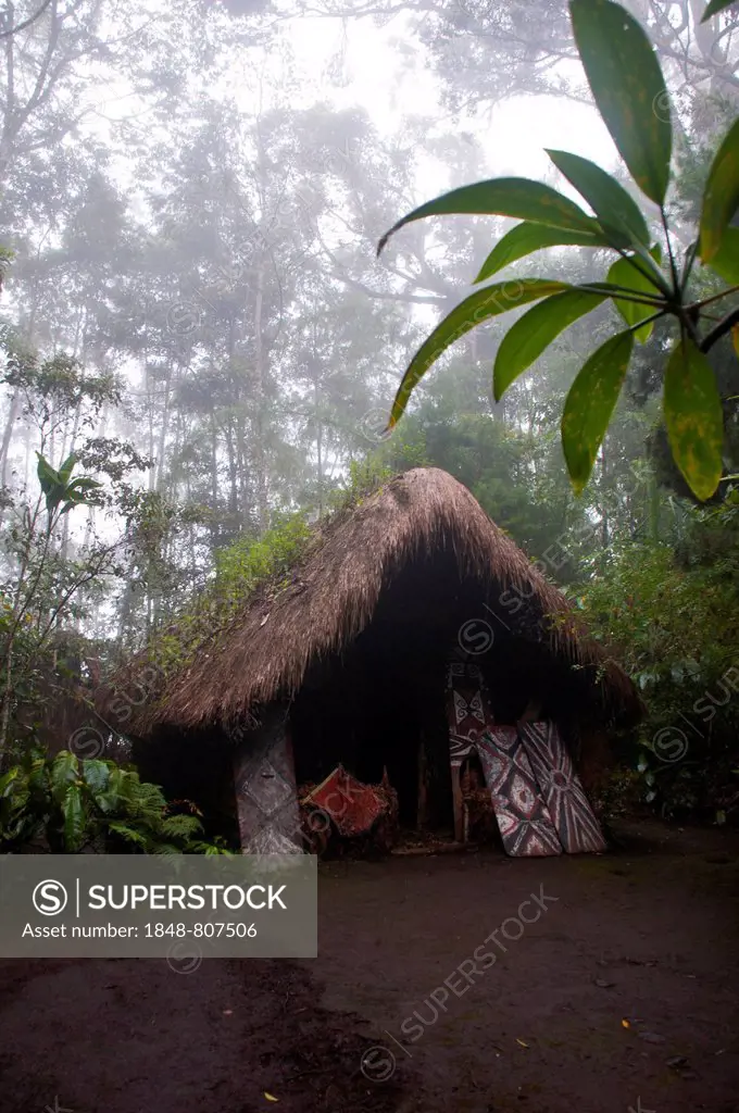 Hut in a tribal village, Highlands, Papua New Guinea