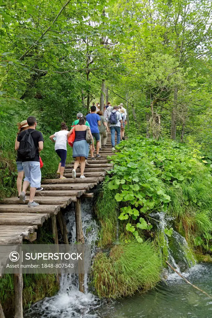 Tourists on a boardwalk, Plitvice Lakes National Park, Croatia