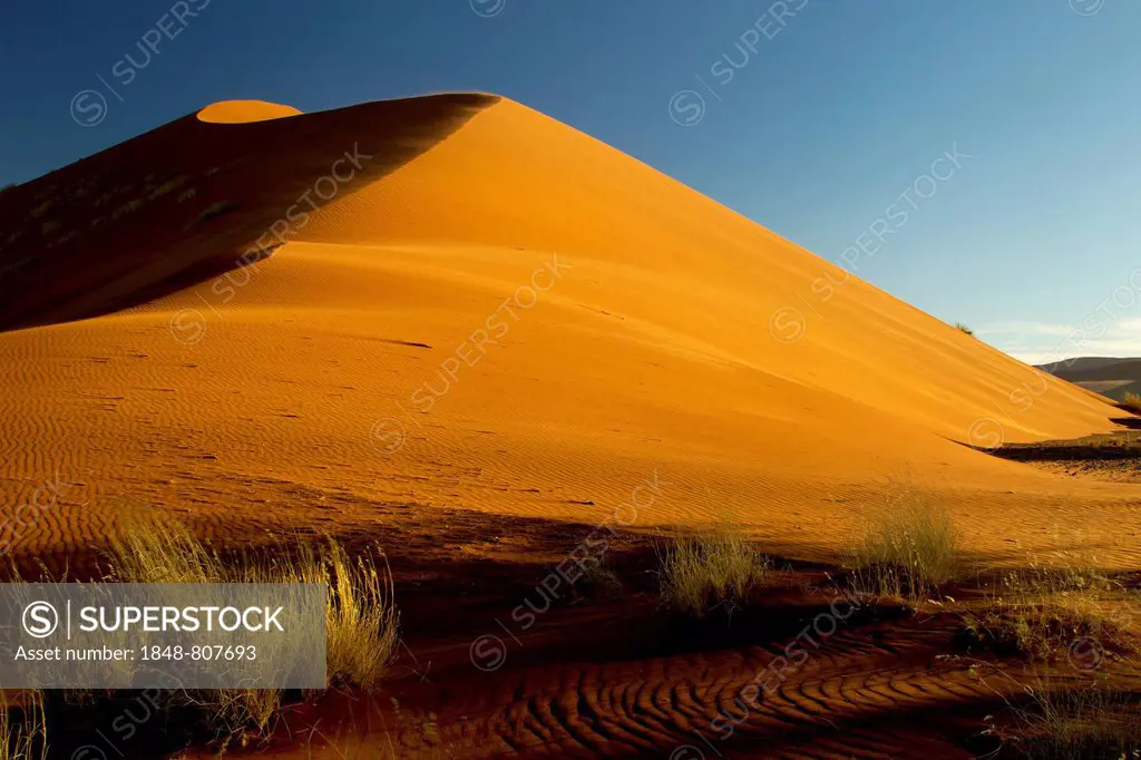 Sand dune in the evening light, Sossusvlei, Namib Desert, Namib Naukluft Park, Namibia