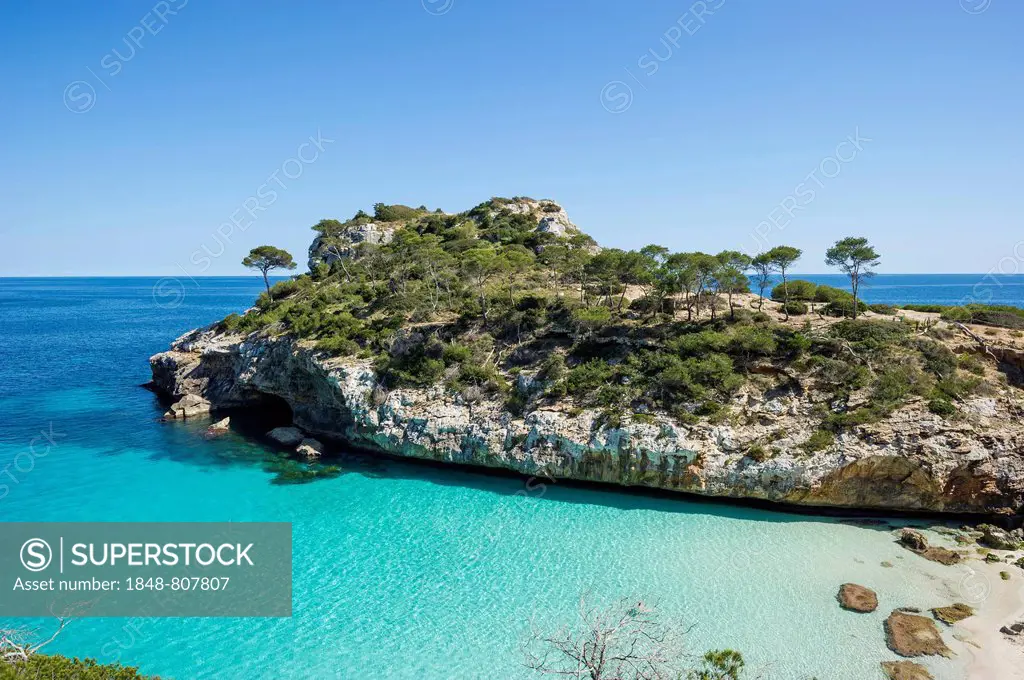 Bay with a sandy beach and pine trees, Cala de Moro, Santanyi, Majorca, Balearic Islands, Spain