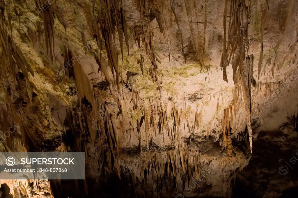 Cave of Postojna, Postojna, Istria, Slovenia
