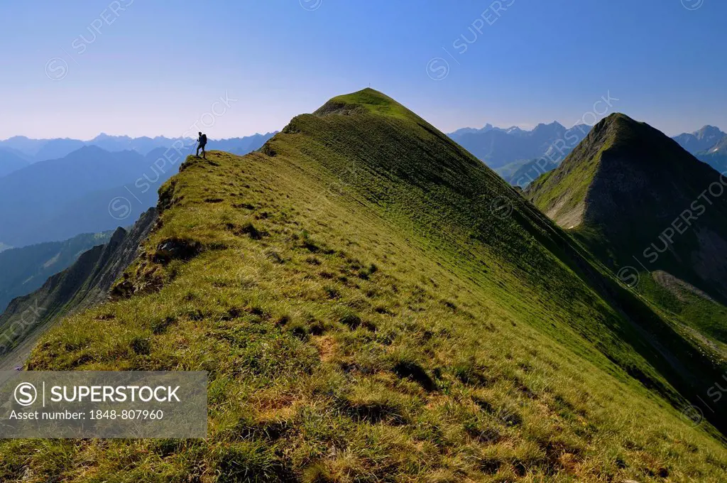 Mountaineer on the grassy summit ridge of Großer Krottenkopf Mountain, Allgäuer Alpen, Tyrol, Austria