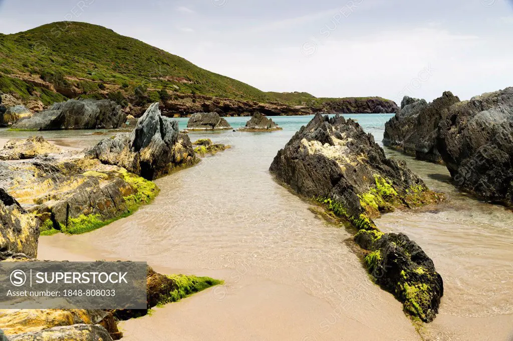 Rocks overgrown with algae in the Spiaggia di Planusartu bay, Masua, Iglesiente, Sardinia, Italy