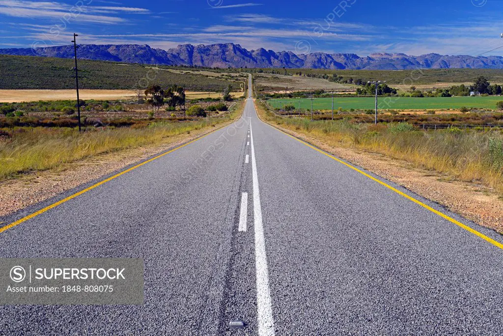 Dead straight road, R364 through the landscape of Cederberg Wilderness Area, Cederberg Wilderness Area, near Clanwilliam, Western Cape, South Africa