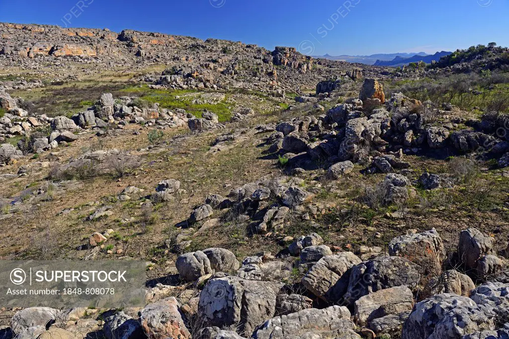 Landscape of the Cederberg Wilderness Area, Cederberg Wilderness Area, near Clanwilliam, Western Cape, South Africa