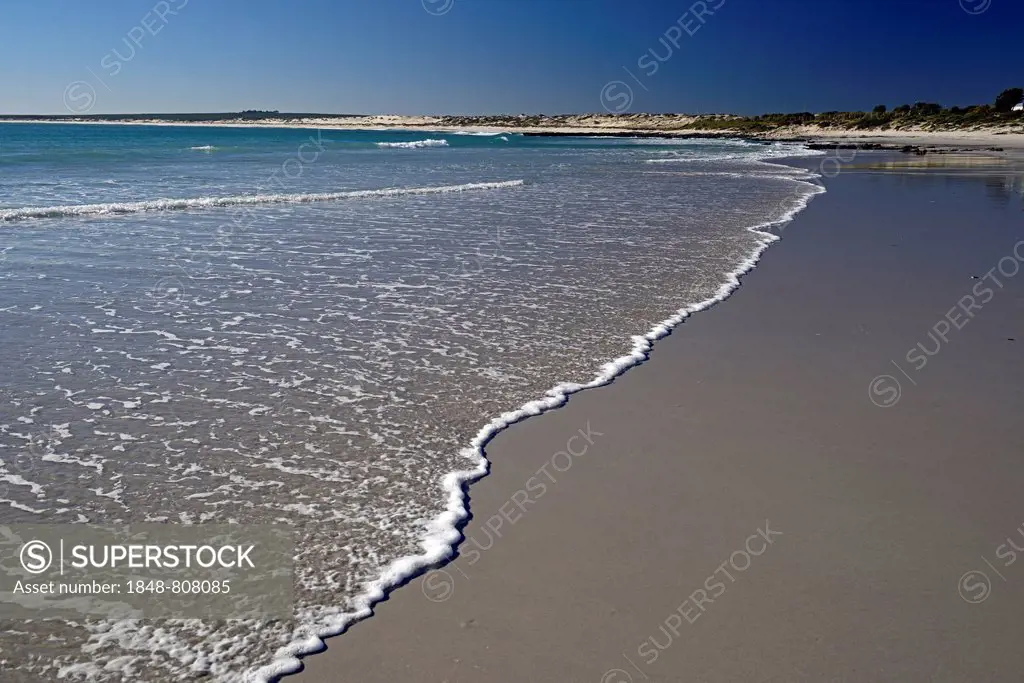Beach in Lamberts Bay, Lambert's Bay, Western Cape, South Africa
