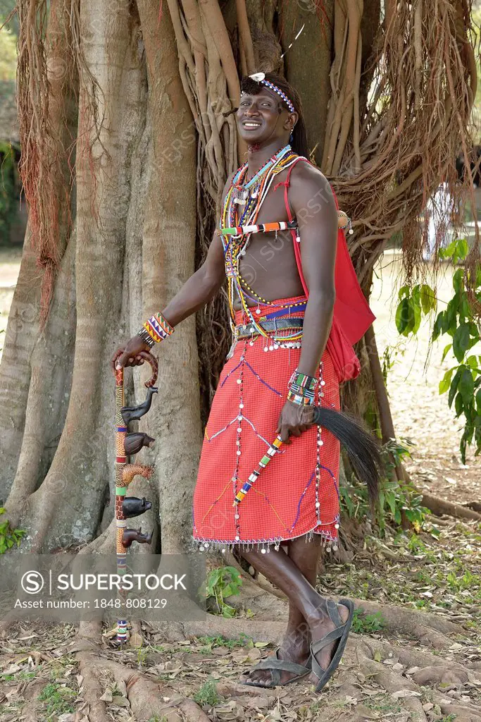 Maasai warrior wearing traditional dress and standing in a typical pose on one leg, near Enkutoto, Masai Mara, Rift Valley Province, Kenya