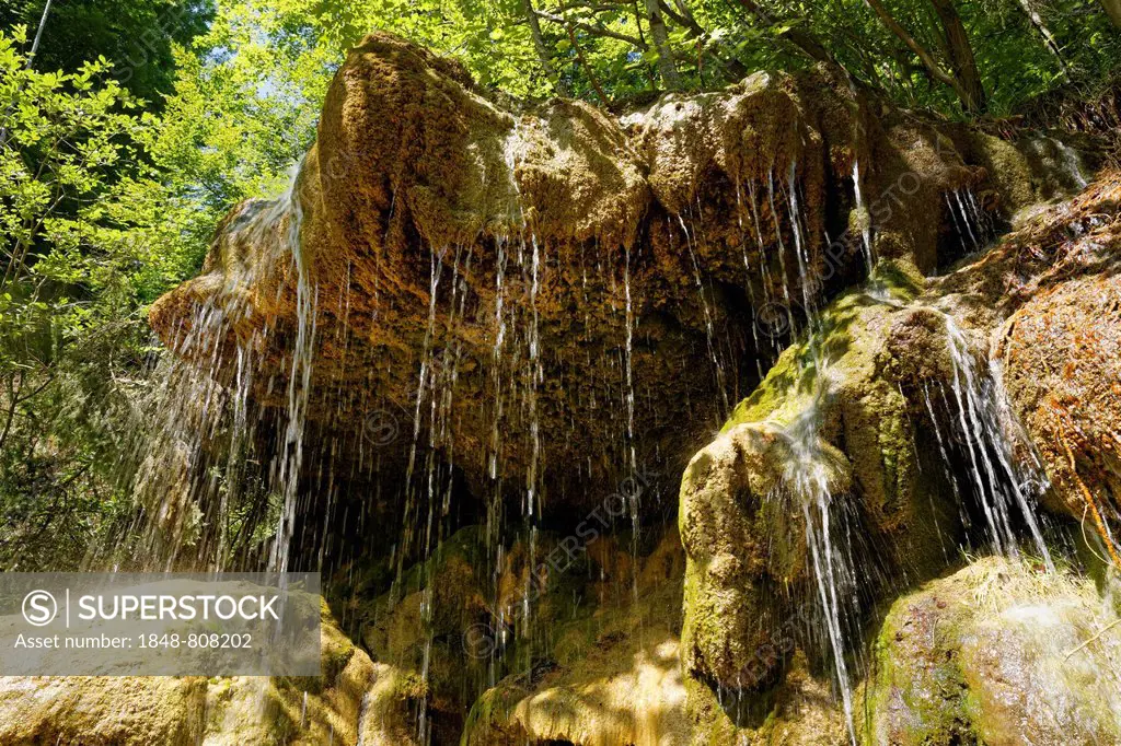 Waterfall with calcification, Ammerschlucht, Peiting, Pfaffenwinkel region, Upper Bavaria, Bavaria, Germany