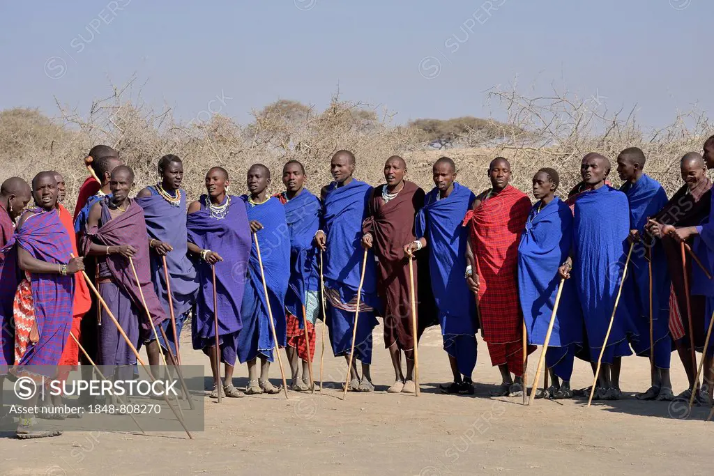 Maasai men dancing, Ngorongoro Conservation Area, Ndema, Tanzania