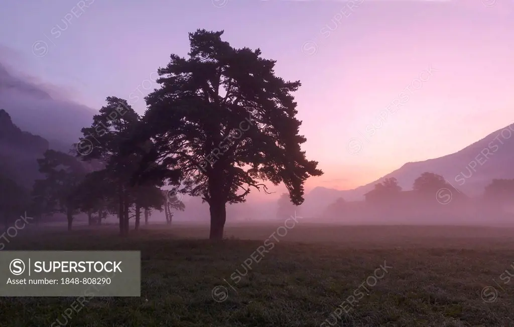 Morning mist in the Inn Valley, Stans, Tyrolean Unterland, Tyrol, Austria