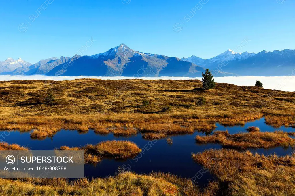 Hill bog in the Zillertal above fog, Filzenlacke, Schwendau, Zillertal, Tyrol, Austria