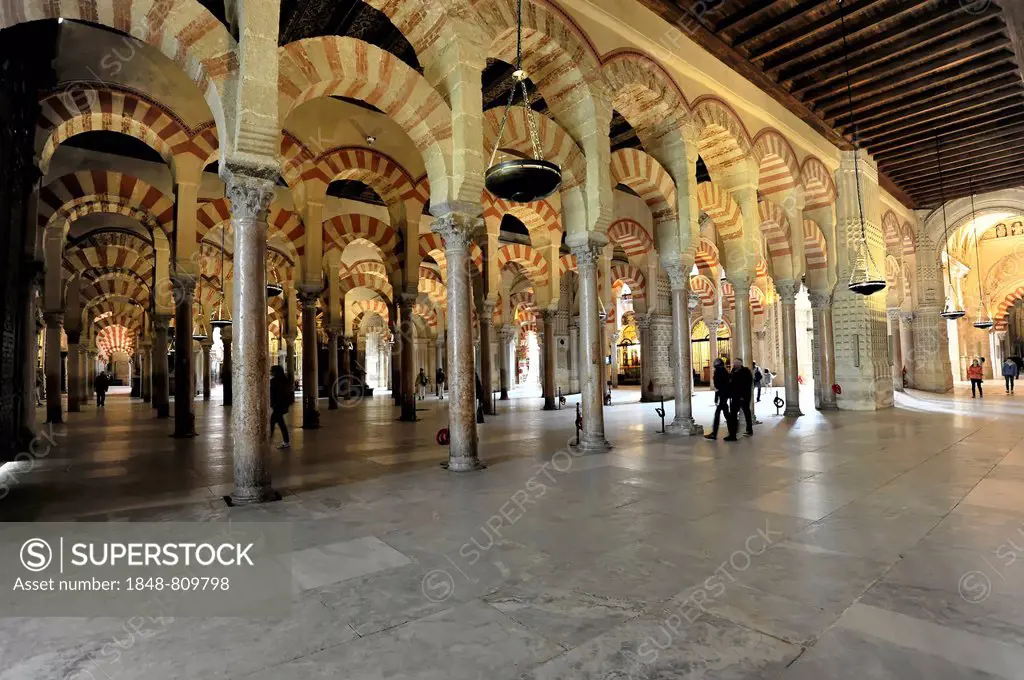 Mezquita or Great Mosque of Córdoba, interior, Córdoba, Córdoba province, Andalusia, Spain
