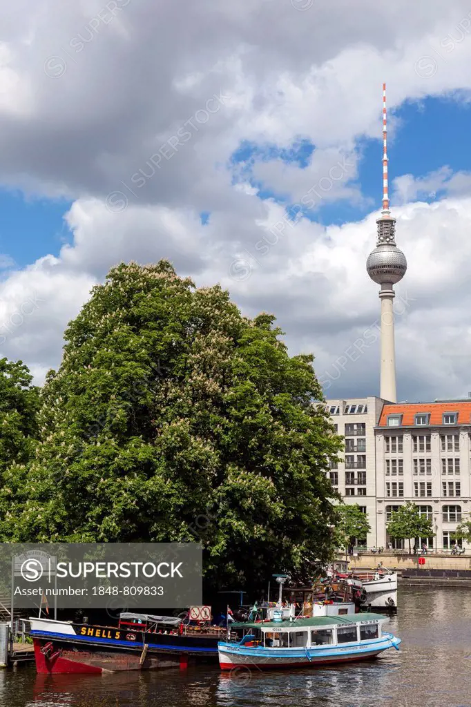 Ships on the Spree River, TV Tower at the rear, Berlin, Berlin, Germany
