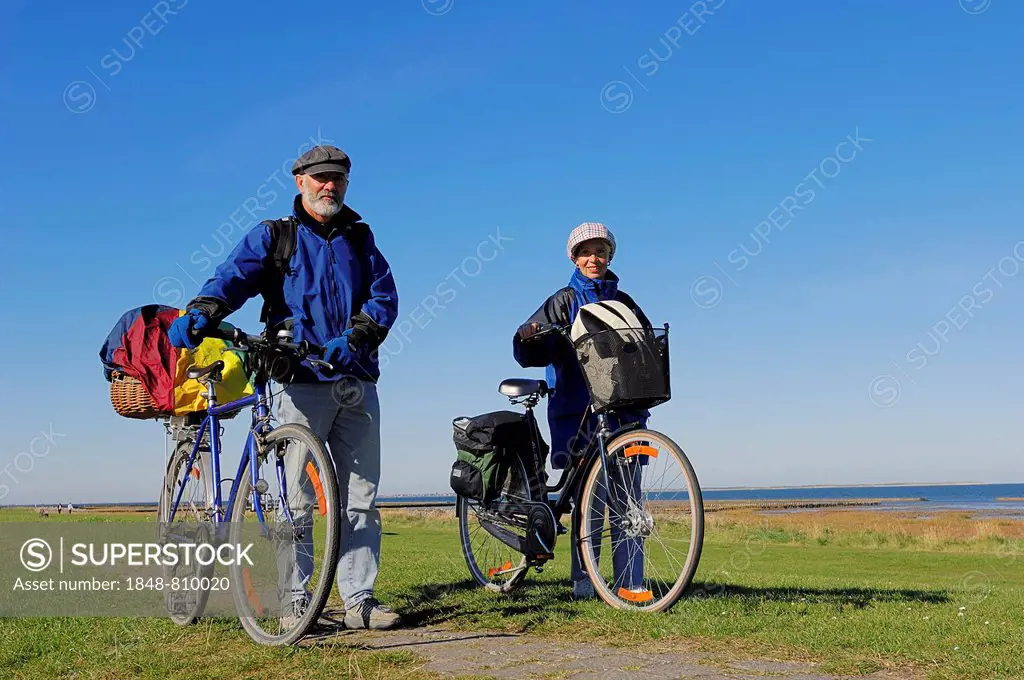 Bicyclists on a dyke, Dornumersiel, East Frisia, Lower Saxony, Germany