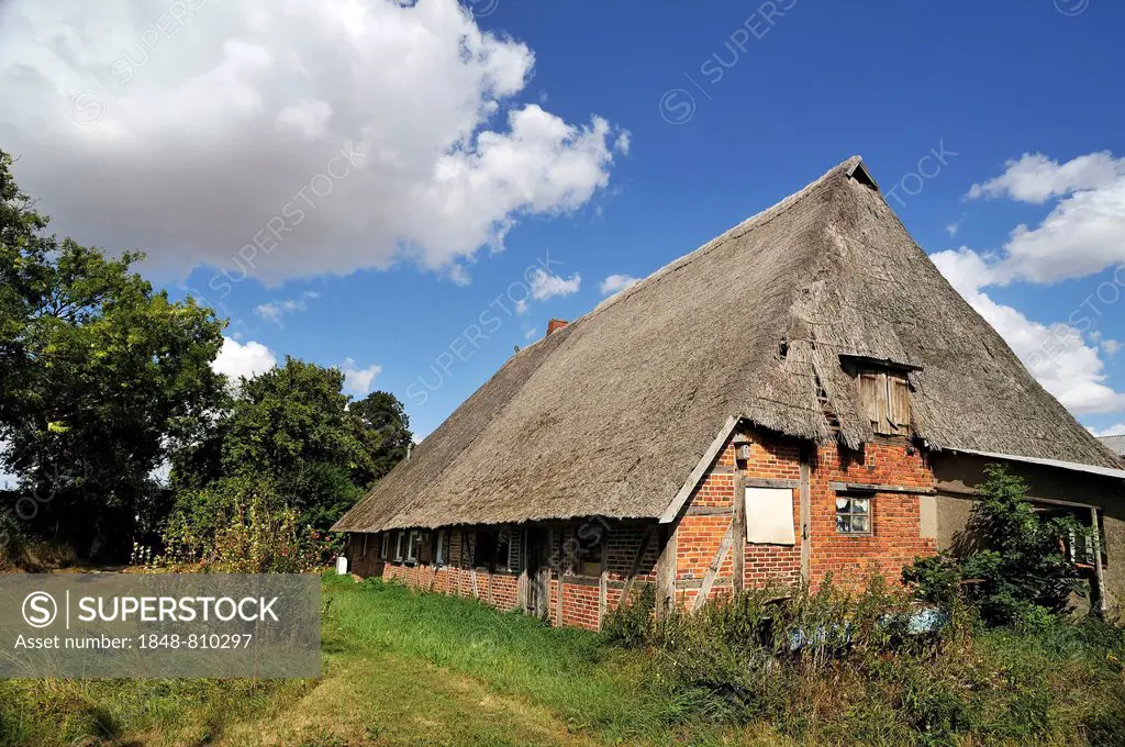 Old farmhouse with low thatched roof, Groß Rünz, Mecklenburg-Western Pomerania, Germany