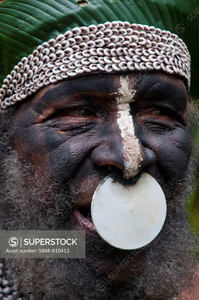 Tribal chief wearing a traditional dress, Highlands Region, Papua New Guinea